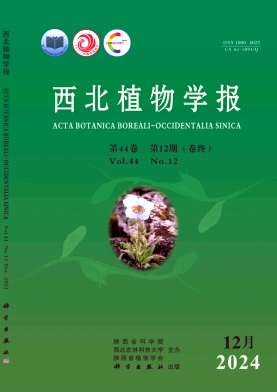 西北植物学报封面